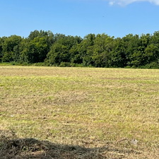 Professional-Commercial-Bush-Hogging-in-Clarksdale-MS 0